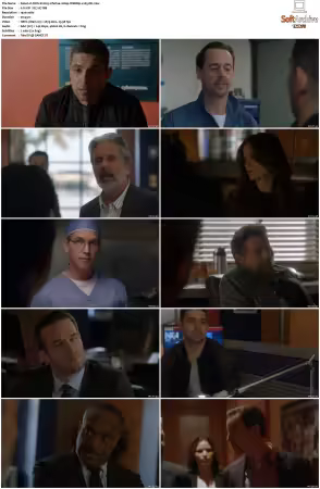 NCIS S21 1080p WEBRip x265-DH