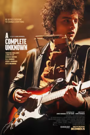 A Complete Unknown 2024 1080p WEBRip x264 AC3-DiVERSiTY