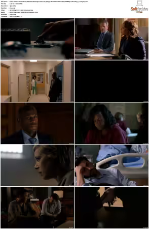 How To Get Away With Murder 2014 S03 1080p WEBRip 10bit EAC3 5 1 x265-iVy