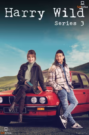 Harry Wild S03 MULTi 1080p WEB H264-AMB3R