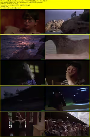 The Black Stallion 1979 1080p ROKU WEB-DL DD 5.1 H264-PiRaTeS