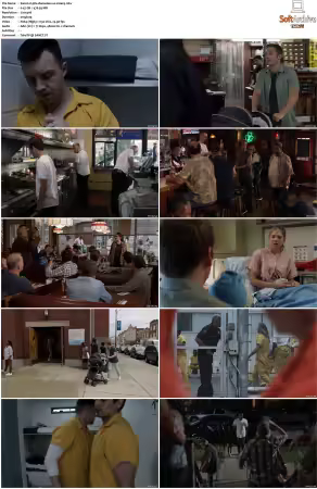 Shameless US S10 DVDRip x264-PFa