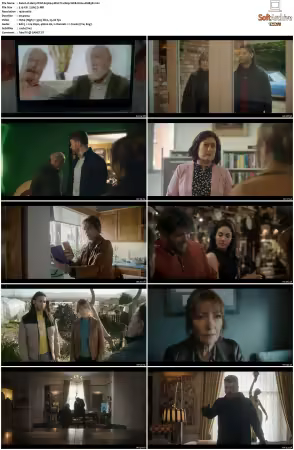 Harry Wild S03 MULTi 1080p WEB H264-AMB3R
