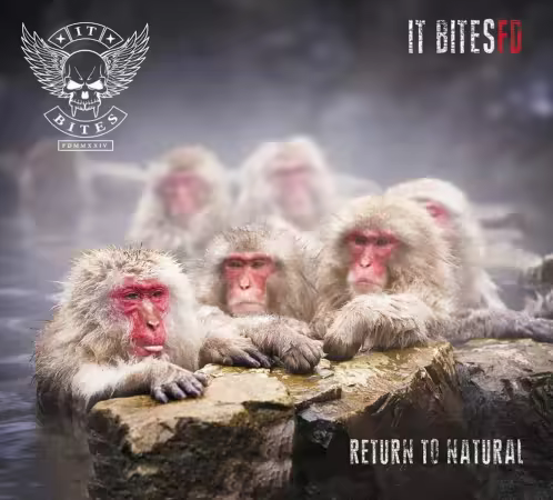 It Bites (It Bites FD) - Discography (1986-2024) MP3