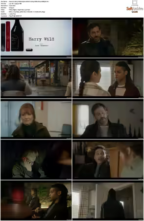 Harry Wild S03 MULTi 1080p WEB H264-AMB3R
