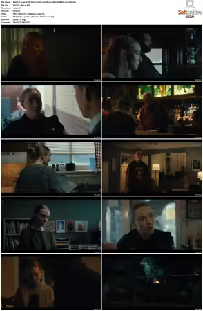 Long Bright River S01 1080p WEBRip x265-DH