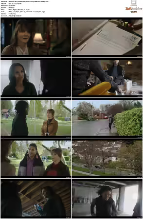 Harry Wild S03 MULTi 1080p WEB H264-AMB3R