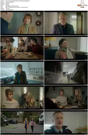 Harry Wild S03 MULTi 1080p WEB H264-AMB3R