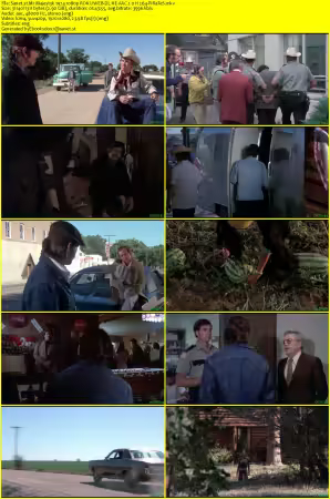 Mr Majestyk 1974 1080p ROKU WEB-DL HE-AAC 2.0 H264-PiRaTeS