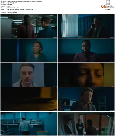 Ludwig S01 1080p 10bit WEBRip 2CH x265 HEVC-PSA