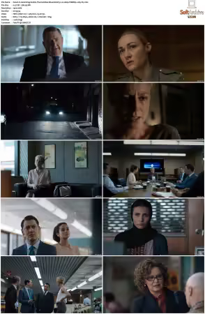 Janet King 2014 S02 WEBRip EAC3 2.0 1080p x265-iVy