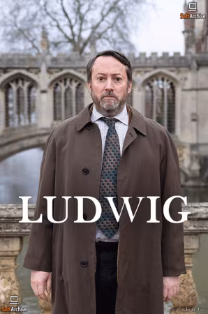 Ludwig S01 1080p 10bit WEBRip 2CH x265 HEVC-PSA
