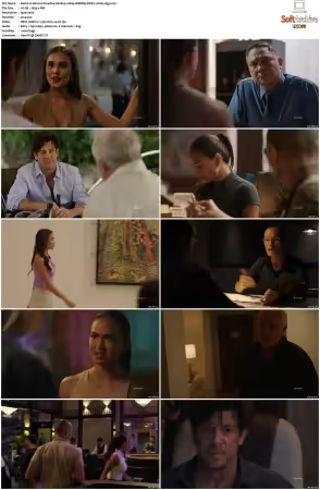 Almost Paradise S01 S02 1080p WEBRip DDP5.1 H265-d3g