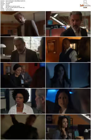 NCIS S21 1080p WEBRip x265-DH