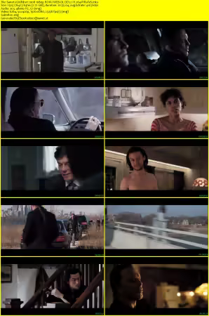 Killshot 2008 1080p ROKU WEB-DL DD 5.1 H264-PiRaTeS