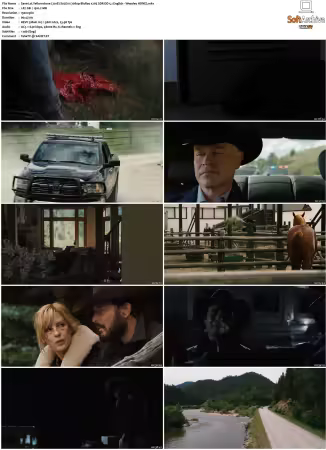 Yellowstone 2018 S02 1080p BluRay x265 SDR DD 5 1 English - Weasley HONE
