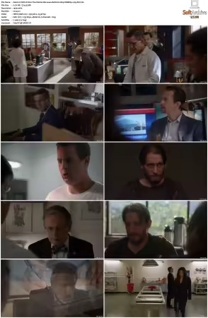 NCIS S21 1080p WEBRip x265-DH