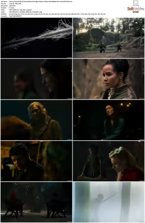 The Wheel of Time S01 S02 1080p 10bit WEBRip 6CH x265 HEVC-PSA