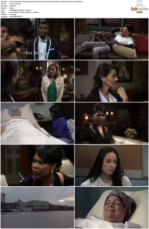 Tyler Perrys The Haves and The Have Nots S01 1080p Hulu WEB-DL AAC2 0 H 264-QOQ