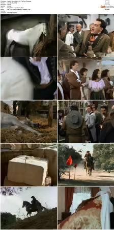 Zorro 1990 S01 S04 h264-NOGRP