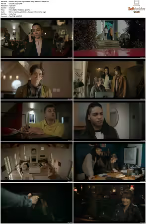Harry Wild S03 MULTi 1080p WEB H264-AMB3R