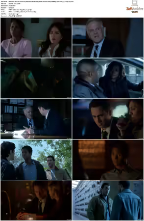 How To Get Away With Murder 2014 S02 1080p WEBRip 10bit EAC3 5 1 x265-iVy