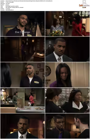 Tyler Perrys The Haves and The Have Nots S01 1080p Hulu WEB-DL AAC2 0 H 264-QOQ