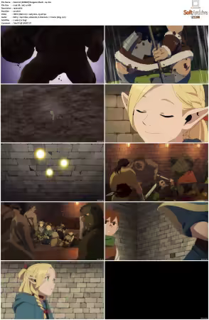 Delicious in Dungeon AKA Dungeon Meshi S01 1080p Webrip Dual-Audio EAC-3 6 0 Hi10P HEVC-Ember