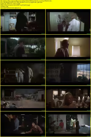 The Long Goodbye 1973 1080p ROKU WEB-DL HE-AAC 2.0 H264-PiRaTeS