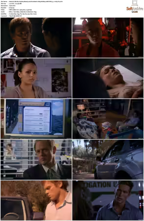 Dexter 2006 S05 1080p BluRay 10bit EAC3 5 1 x265-iVy