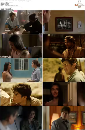 Almost Paradise S01 S02 1080p WEBRip DDP5.1 H265-d3g