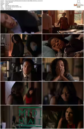 How To Get Away With Murder 2014 S02 1080p WEBRip 10bit EAC3 5 1 x265-iVy