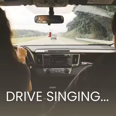 Various Artists - Drive singing (2025)