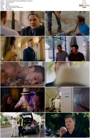 Almost Paradise S01 S02 1080p WEBRip DDP5.1 H265-d3g