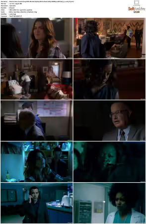How To Get Away With Murder 2014 S03 1080p WEBRip 10bit EAC3 5 1 x265-iVy