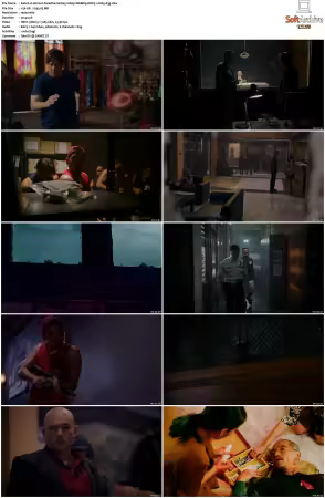 Almost Paradise S01 S02 1080p WEBRip DDP5.1 H265-d3g