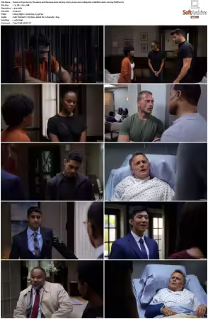 Tyler Perrys The Haves and the Have Nots S07 1080p HULU WEB-DL AAC2 0 H 264-TEPES