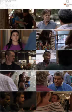Shameless US S10 DVDRip x264-PFa