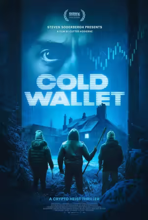 Cold Wallet 2024 1080p WEB-DL AAC5.1 x265-NeoNoir