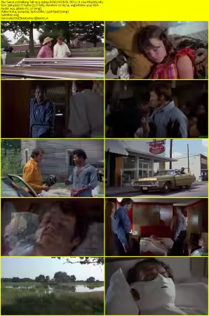 Walking Tall 1973 1080p ROKU WEB-DL DD 5.1 H264-PiRaTeS