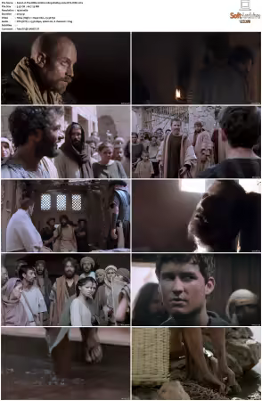 The Bible S01 1080p BluRay x264 DTS-WiKi