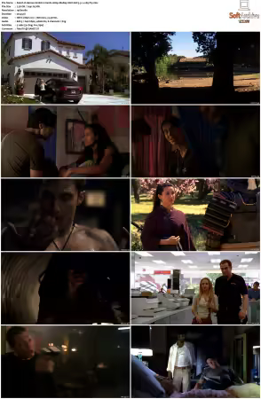 Heroes 2006 S02 1080p BluRay 10bit EAC3 5 1 x265-iVy