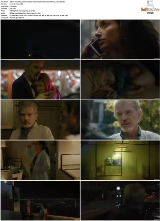 Goliath 2016 S02 1080p WEBRip 10bit EAC3 5.1 x265-iVy