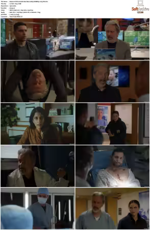 NCIS S21 1080p WEBRip x265-DH