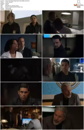 NCIS S21 1080p WEBRip x265-DH