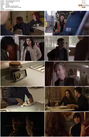Shameless US S10 DVDRip x264-PFa
