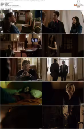 How To Get Away With Murder S01 1080p WEBRip 10bit EAC3 5 1 x265-iVy