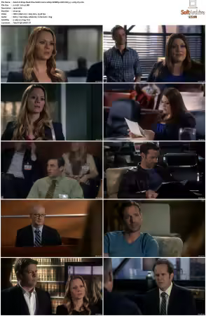 Drop Dead Diva 2009 S06 1080p WEBRip 10bit EAC3 5 1 x265-iVy