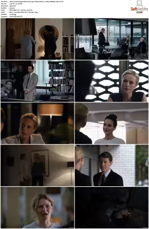 Janet King 2014 S02 WEBRip EAC3 2.0 1080p x265-iVy