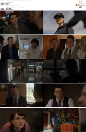 NCIS S21 1080p WEBRip x265-DH